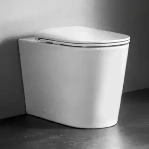 Veilige Betaling Vaso WC bianco filo parete Nest VitrA Vaso WC bianco filo parete Nest VitrA Echome