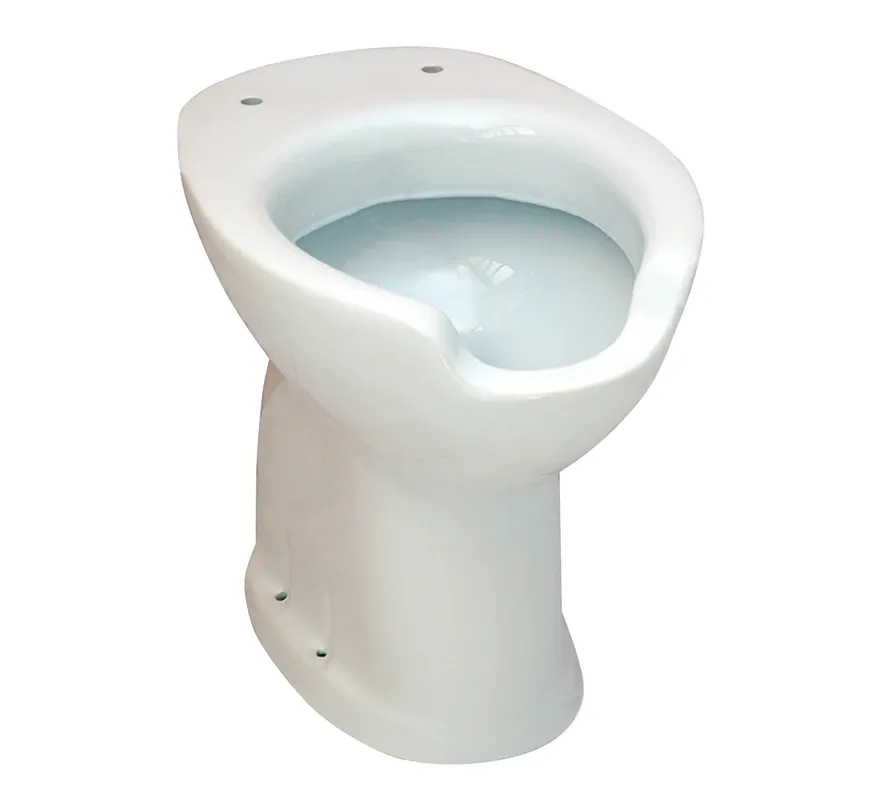 Laatste Kans Vaso WC bianco pavimento scarico parete disabili Civita Vaso WC bianco pavimento scarico parete disabili Civita Echome