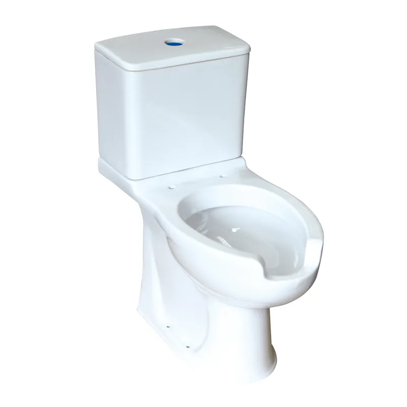 Vaso WC monoblocco pavimento apertura frontale disabili Civita Vaso WC monoblocco pavimento apertura frontale disabili Civita Echome Bestel Nu
