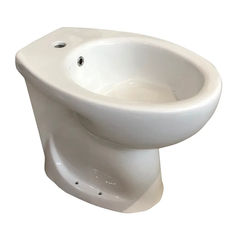 Bidet bianco 49 centimetri anziani Terza Età Civita Bidet bianco 49 centimetri anziani Terza Età Civita Echome Beste Prijs