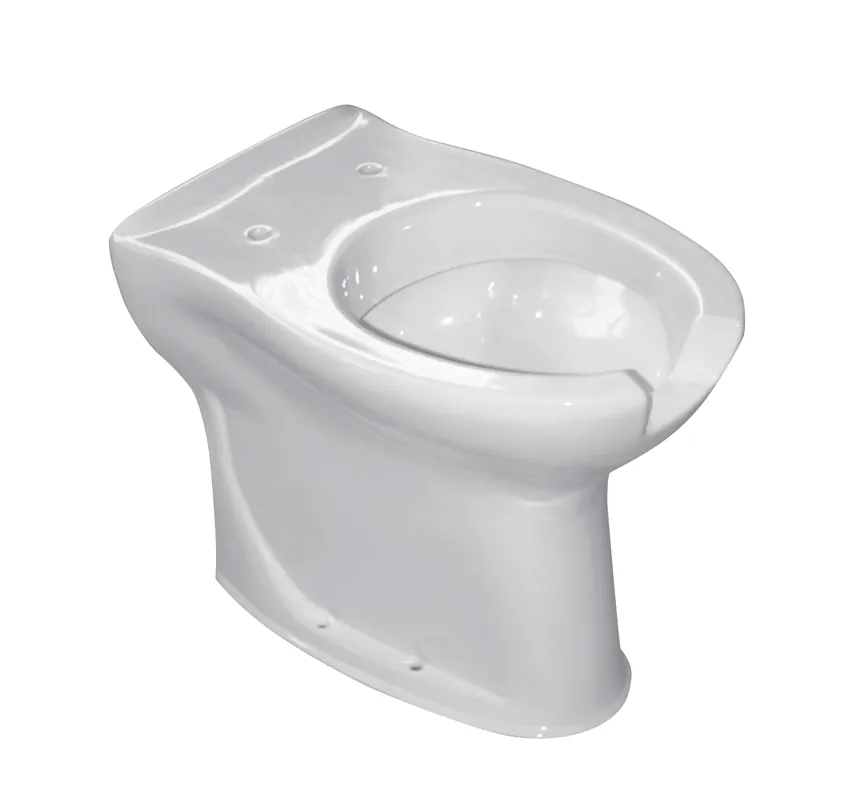 Vaso WC filo parete apertura frontale Terza Età Civita Vaso WC filo parete apertura frontale Terza Età Civita Echome Lage Kosten