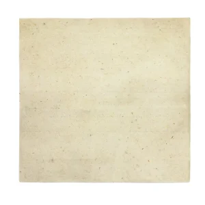 Pan Felt oleo-assorbitore acqua Sea Cleanup Geolana 45x35 cm Actieprijs