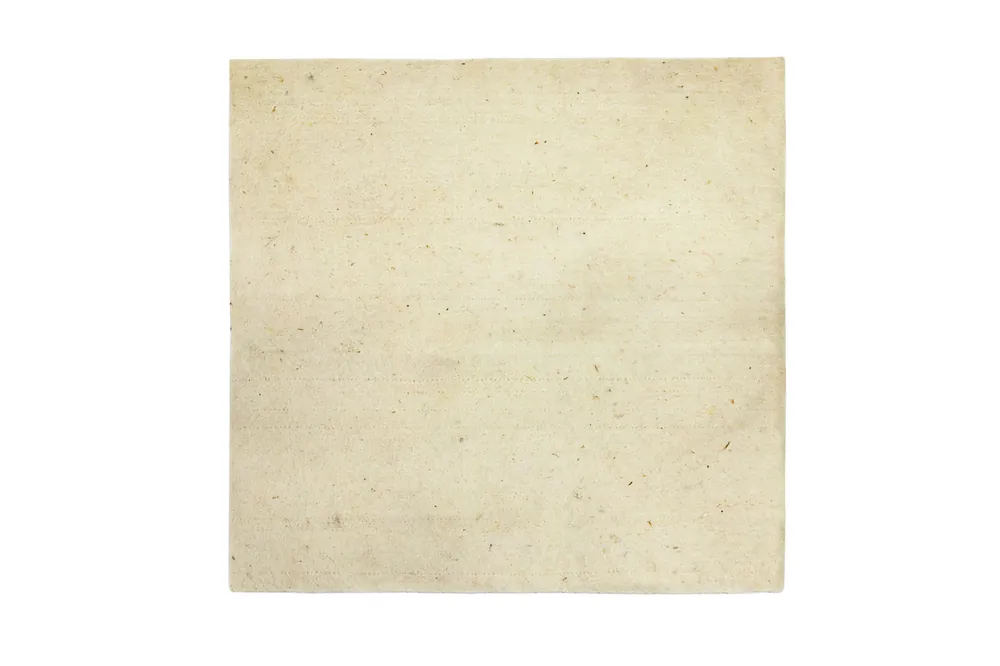 Pan Felt oleo-assorbitore acqua Sea Cleanup Geolana 45x35 cm Actieprijs