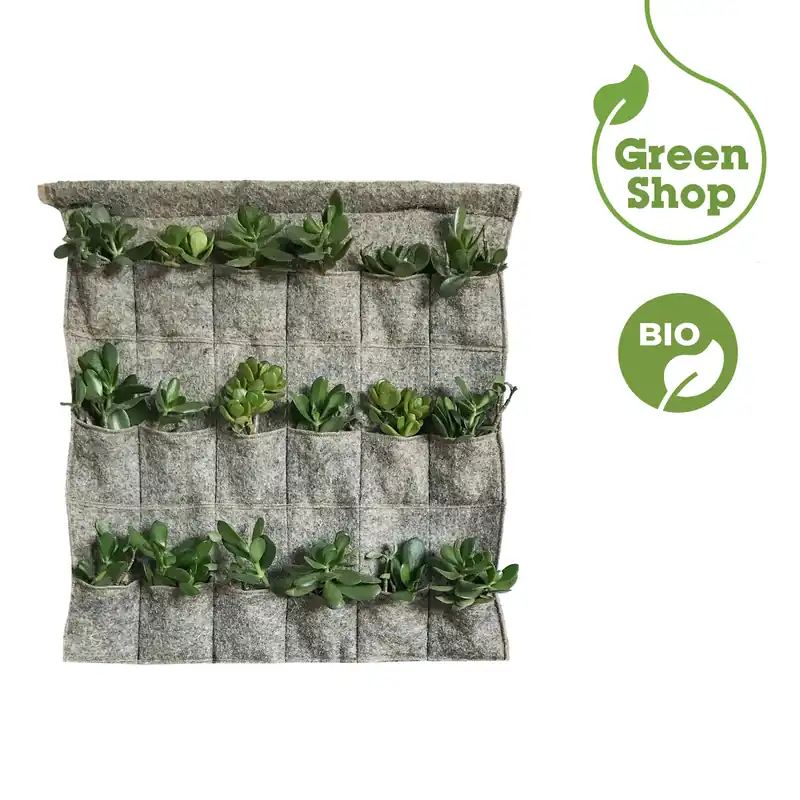Vertical Garden quadrato Canapa Tech Edizero Vertical Garden quadrato Canapa Tech Edizero Echome Nieuw