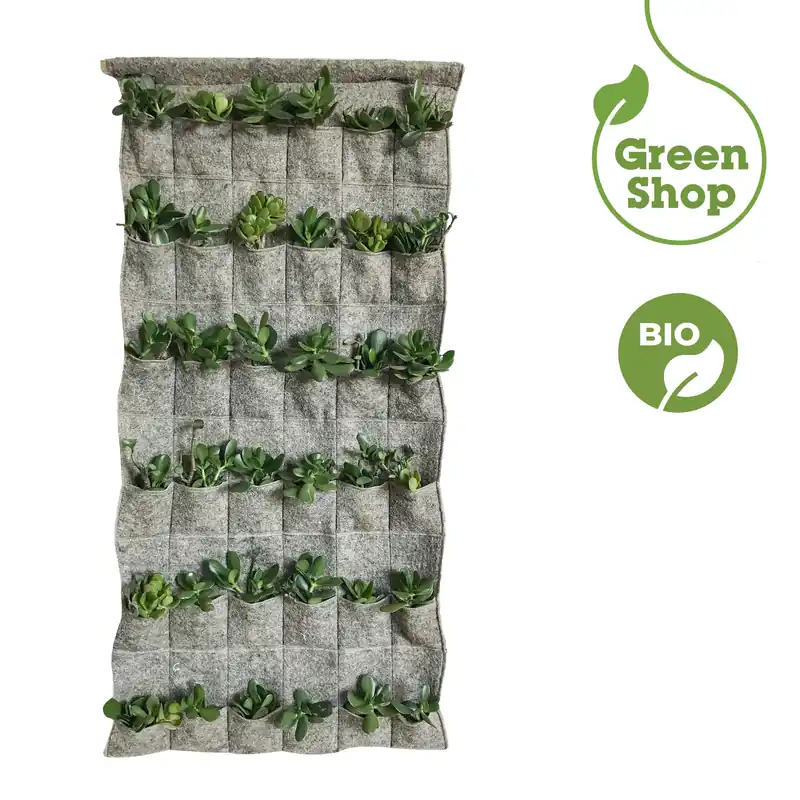 Vertical Garden rettangolare Canapa Tech Edizero Vertical Garden rettangolare Canapa Tech Edizero Echome Beperkt Aanbod
