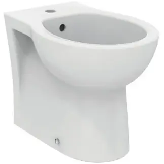 Bestel Nu Bidet monoforo bianco filo parete Eurovit Ideal Standard Bidet monoforo bianco filo parete Eurovit Ideal Standard Echome