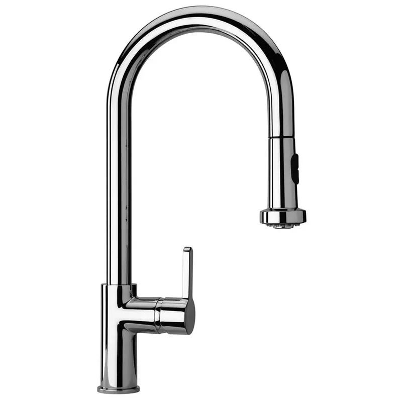 Miscelatore monocomando cromato con doccetta estraibile monogetto Arena Paini Miscelatore monocomando cromato con doccetta estraibile monogetto Arena Paini Echome Populair