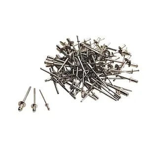 Rivetti assortiti in alluminio per rivettatrice Valex Rivetti assortiti in alluminio per rivettatrice Valex Echome Alleen Vandaag