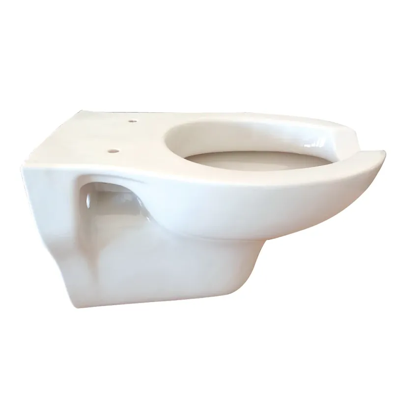 UNI vaso wc sospeso disabili apertura frontale Civita Cromo UNI vaso wc sospeso disabili apertura frontale Civita Cromo Echome Merkproduct