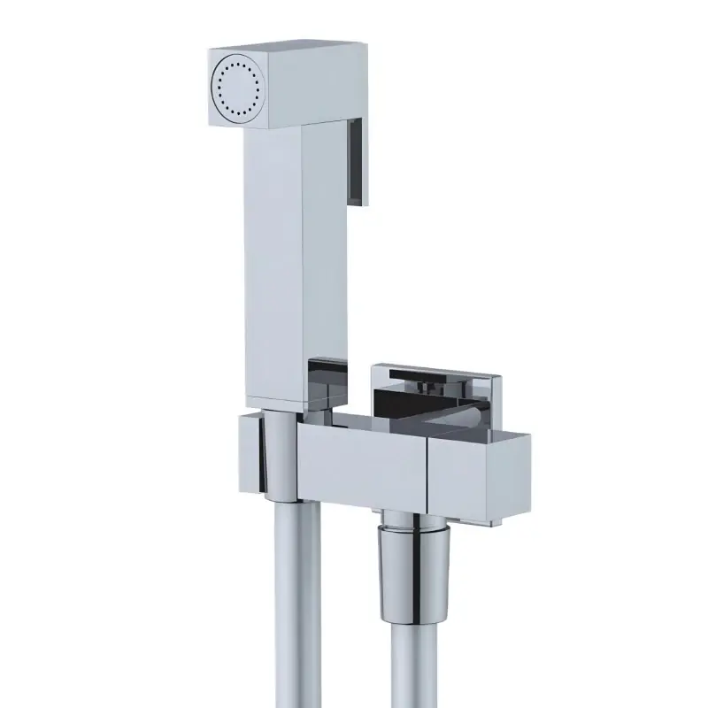 Idroscopino WC bidet bagno cromo lucido quadro Alvin Morini Idroscopino WC bidet bagno cromo lucido quadro Alvin Morini Echome Alleen Vandaag
