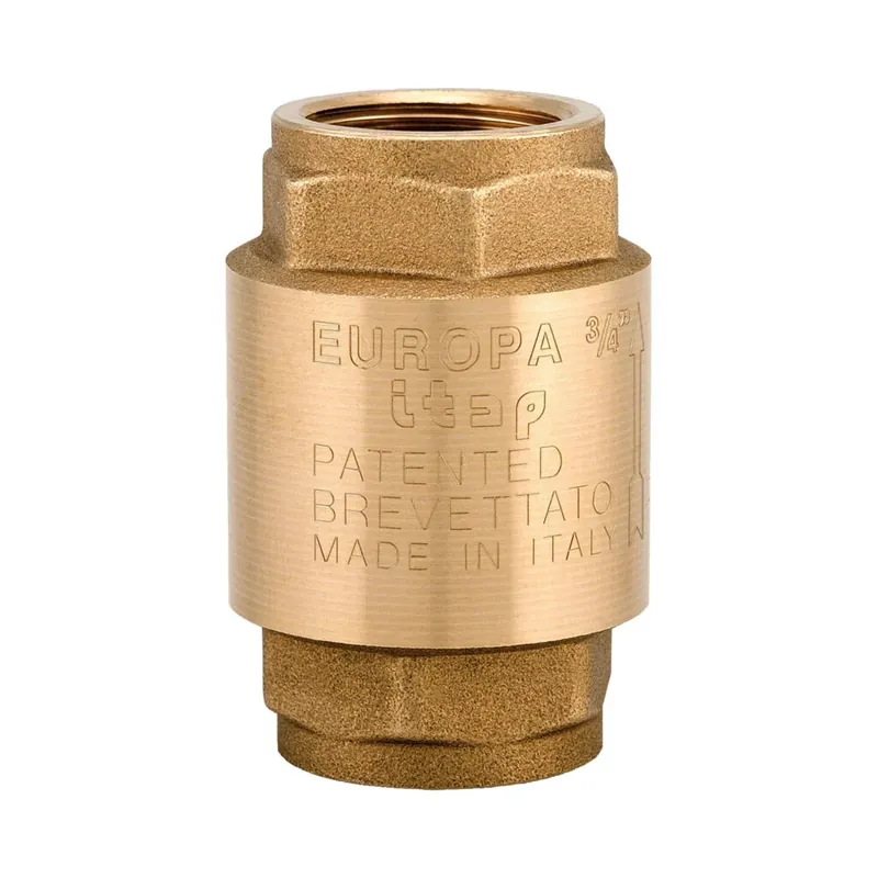 Dagaanbieding Valvola ritegno Europa ottone Itap 1 1/2”