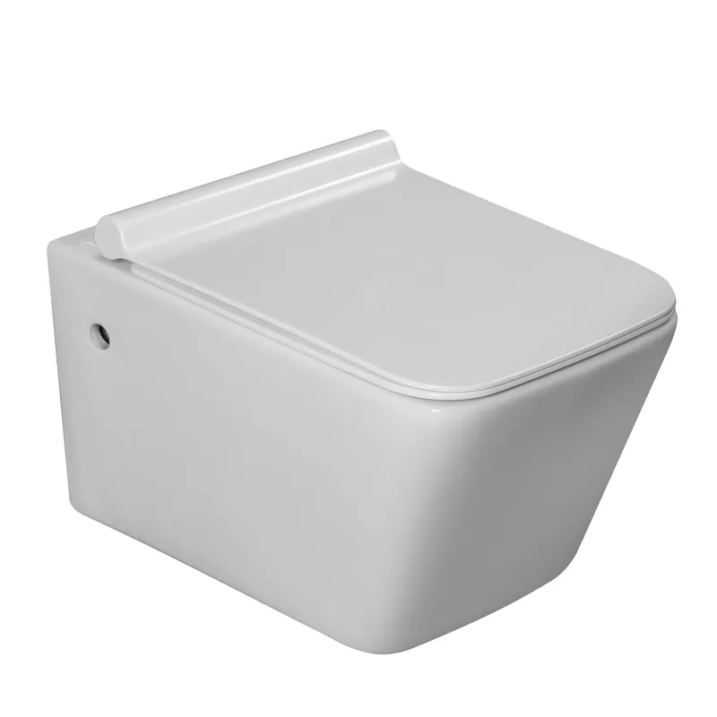 Lage Prijs Vaso WC sospeso bianco lucido con sedile Nebida Aquanos Vaso WC sospeso bianco lucido con sedile Nebida Aquanos Echome