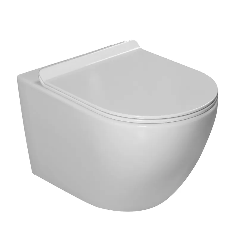 Vaso WC sospeso bianco lucido con sedile incluso Chia Aquanos Vaso WC sospeso bianco lucido con sedile incluso Chia Aquanos Echome Laatste Versie