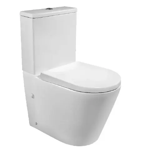 Beperkt Aanbod Vaso WC Monoblocco Zada con Cassetta Bianco Senza Brida Vaso WC Monoblocco Zada con Cassetta Bianco Senza Brida Echome