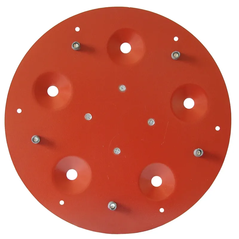 Favoriet Disco porta utensili abrasivi 490 mm per Maxititina Raimondi