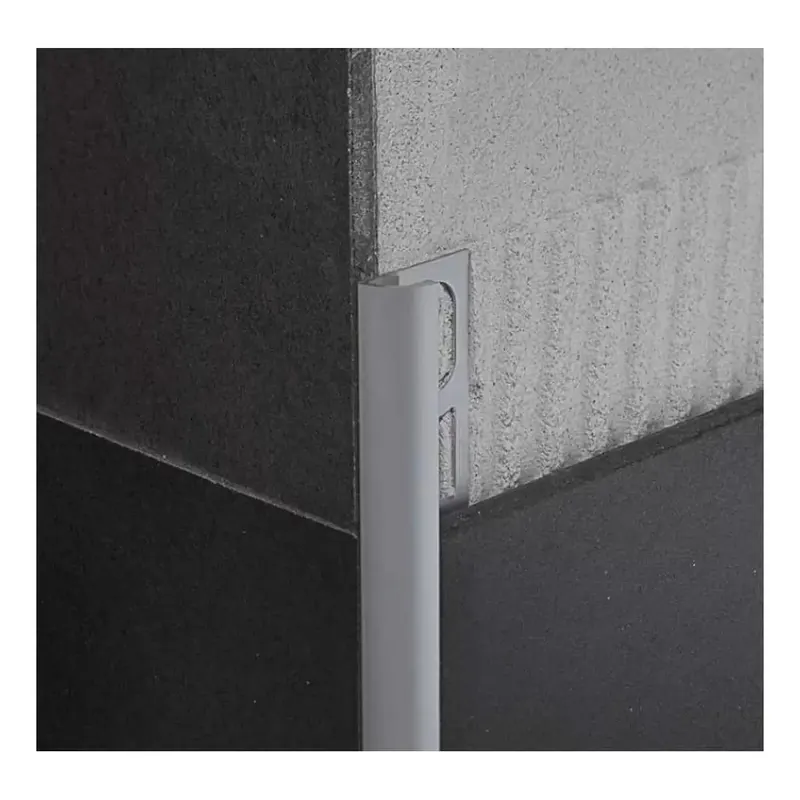 Profilo in alluminio anodizzato argento lunghezza 270cm Protrim Profilpas Superprijs