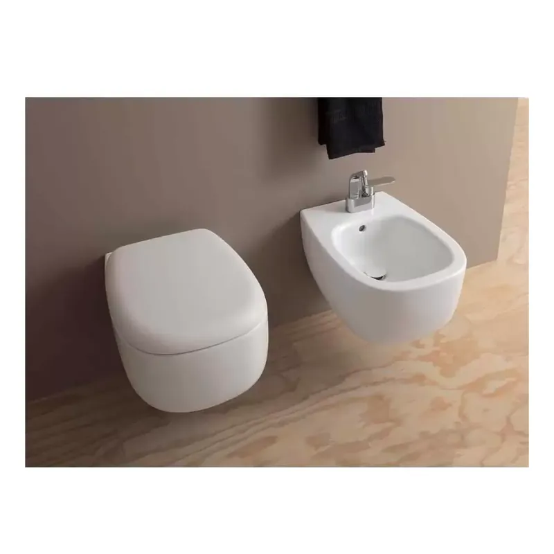 Direct Verzonden Wc sospeso Flaminia 54x38 cm Goclean Bonola