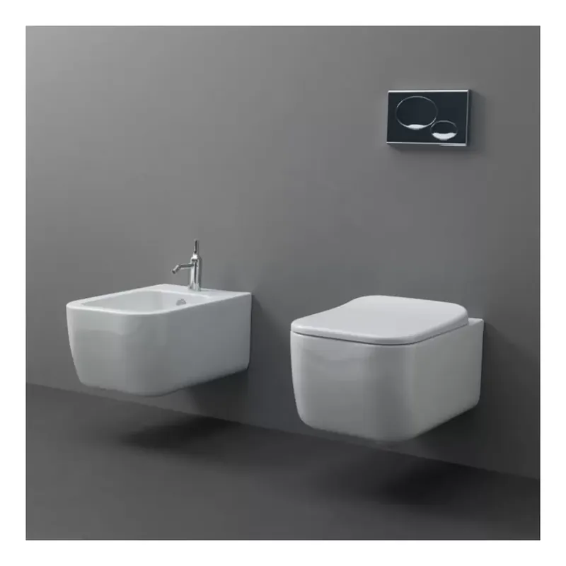 Shop Nu Wc sospeso Gsg 52x36 cm Brio