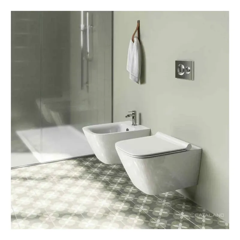 Betrouwbaar Wc sospeso Catalano 55x37 cm Newflush Green
