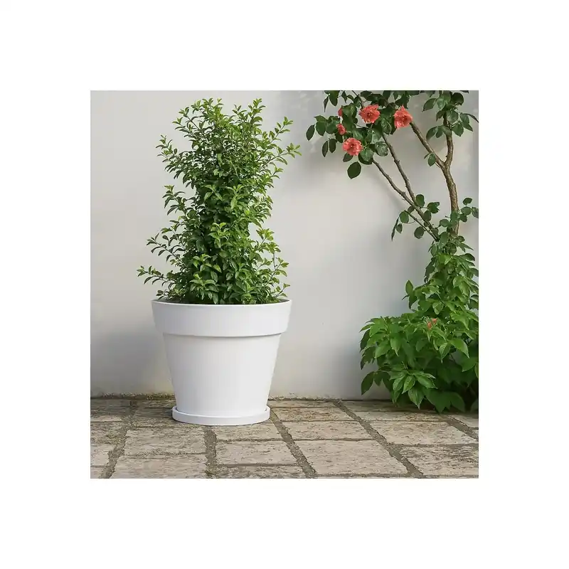 Vaso 50 cm Gemma Monacis - Polietilene Direct Verzonden