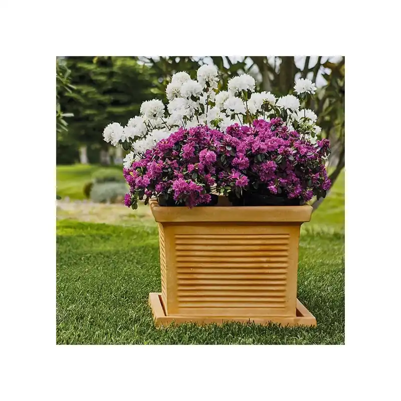 Must-Have Vaso Quadro Millerighe Rome Monacis