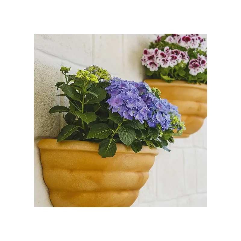 Gerla a parete 50x27cm in polietilene Thea Rome Monacis Laatste Kans