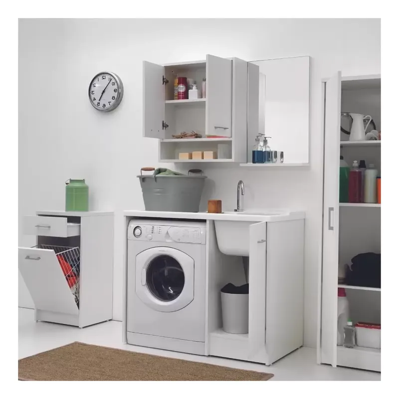 Betrouwbaar Coprilavatrice con lavapanni 106x50cm vasca dx Colavene