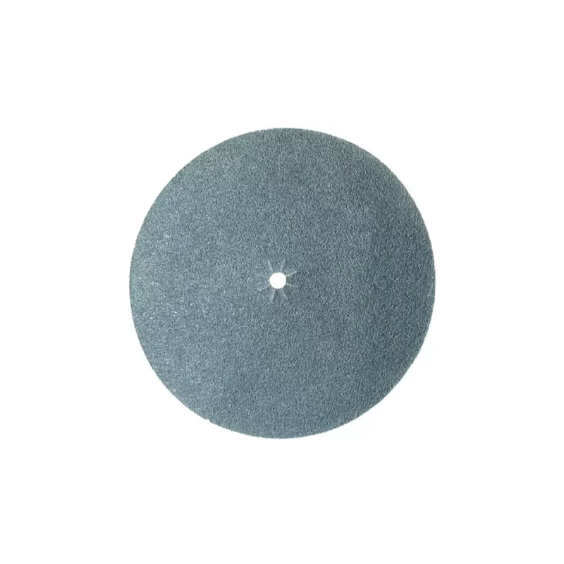 Veilige Betaling Disco abrasivo grana 120 bifaccia Raimondi 27445G120