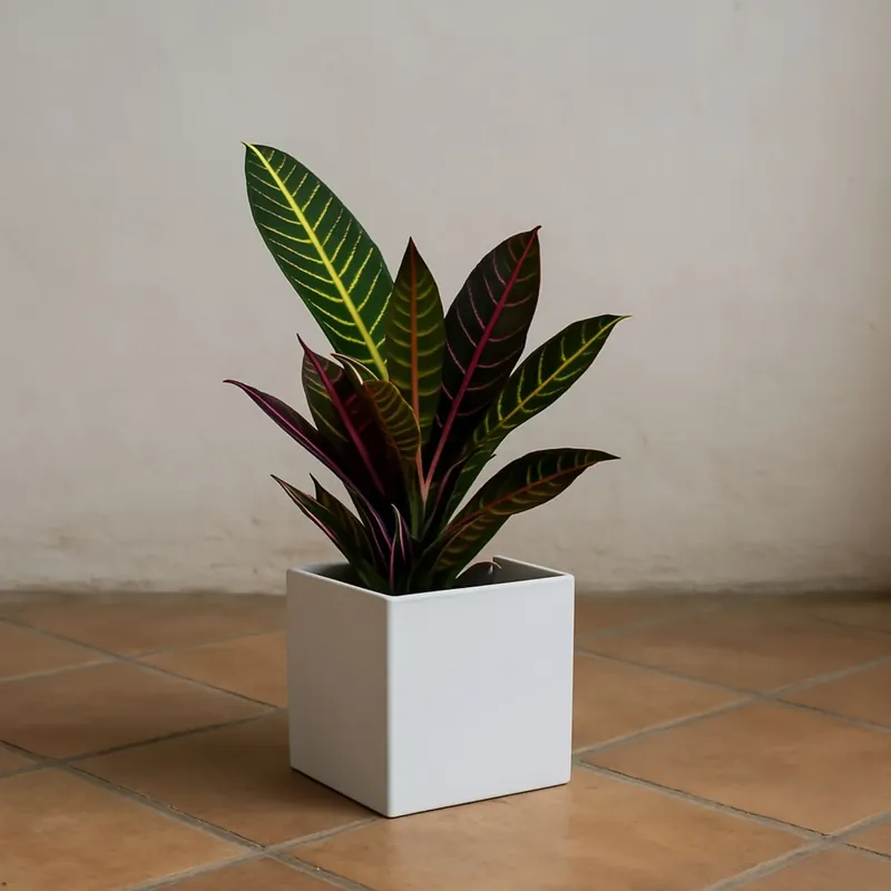 Speciale Aanbieding Vaso da giardino 15 h cm in polietilene tutta capienza Ellenico Kloris