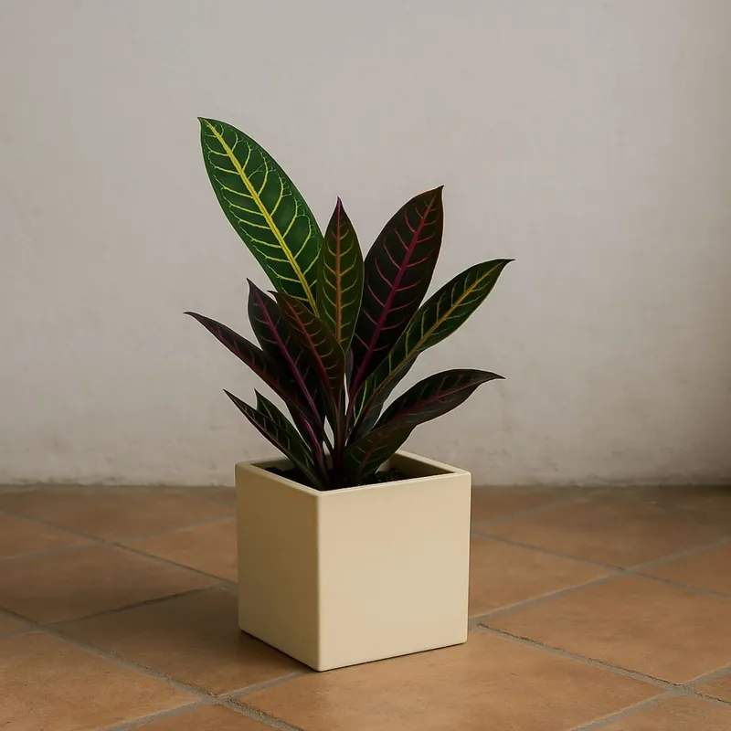 Meest Verkocht Vaso da giardino 25 h cm in polietilene tutta capienza Ellenico Kloris