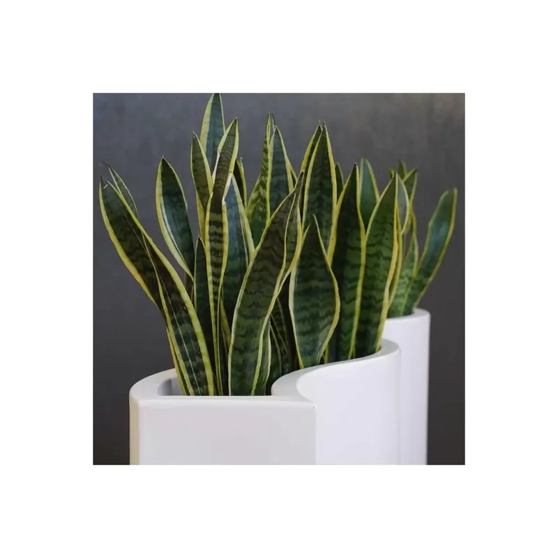 Vaso giardino ad onda 90x40cm POST55 Kloris Nieuw