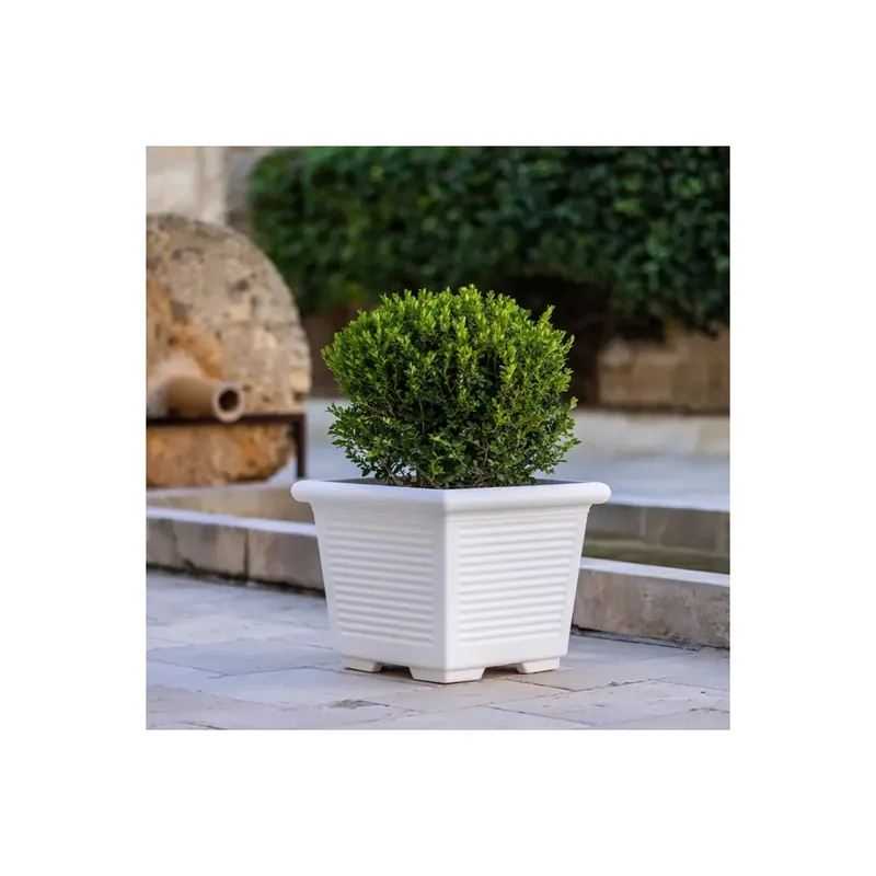 Shop Nu Vaso a tutta capienza in polietilene 50 Millerighe