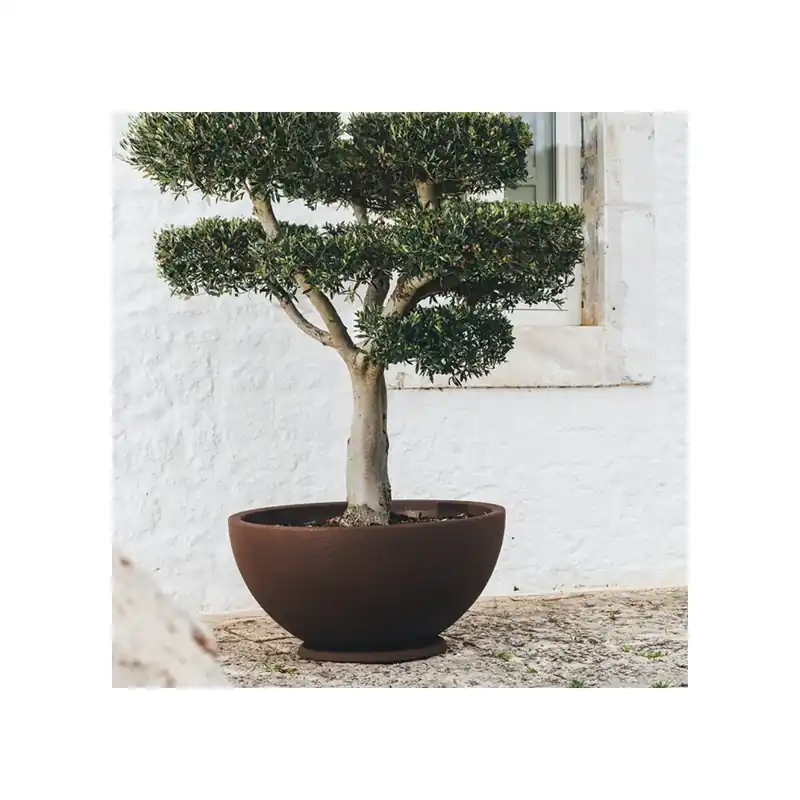 Populair Vaso a ciotola da 65cm Atena Monacis