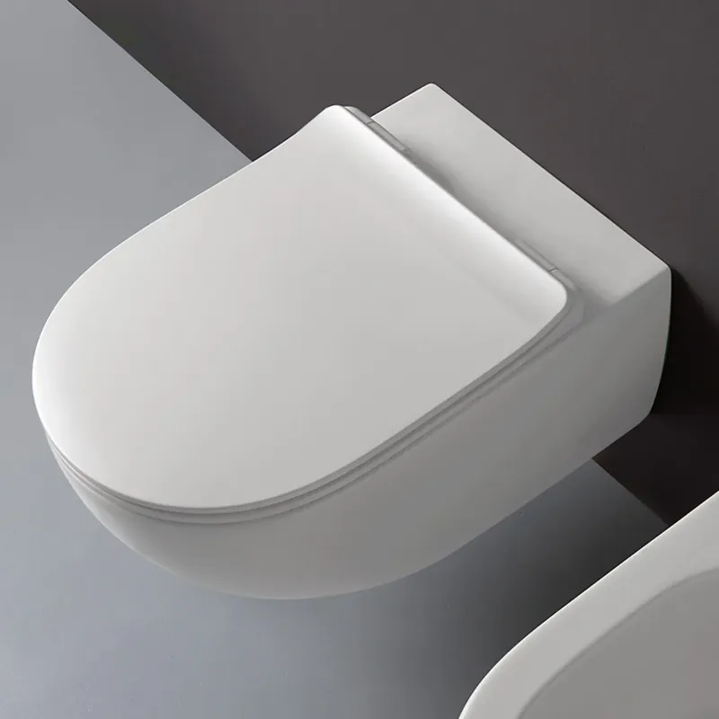 Wc sospeso bianco 54x36 cm GoSilence AP118S App Flaminia Laatste Kans