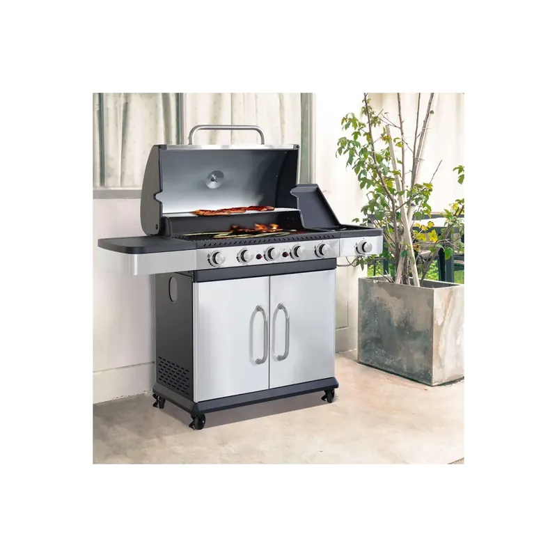 Aanbieding Barbecue Davis 5 Fuochi + 1. A gas