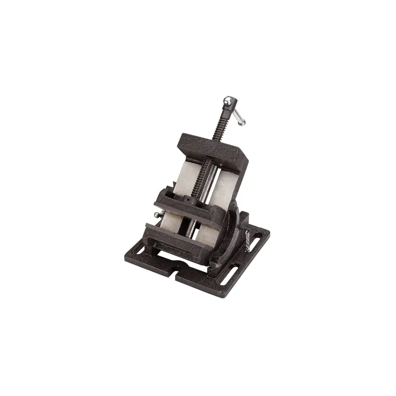 Betaalbaar Morsa inclinabile FERVI 0698/100 con apertura 105 mm, ganasce 105 x 47 mm e inclinazione 0°-15°-30°-45°-60°-75°-90°