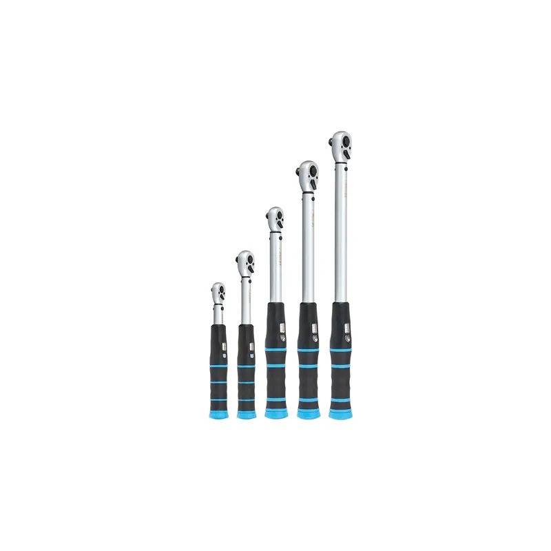 Fabrieksprijs FERVI Chiave Dinamometrica 3/8" 20-100 Nm - 0778/100