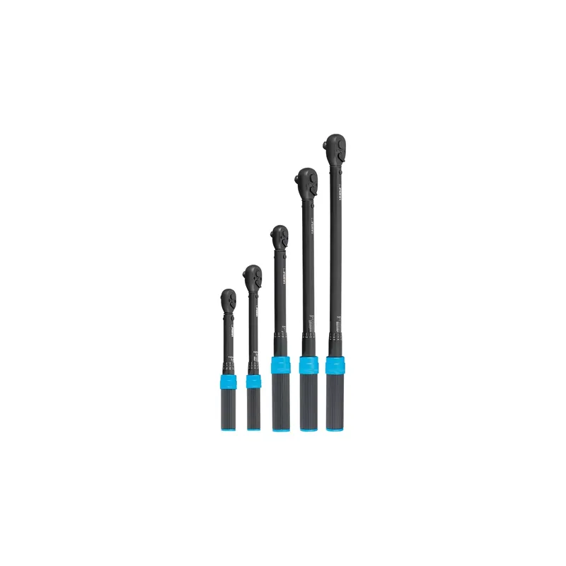Direct Beschikbaar FERVI Chiave Dinamometrica 1/2" 60-300 Nm Selettore Molla - 0779/300