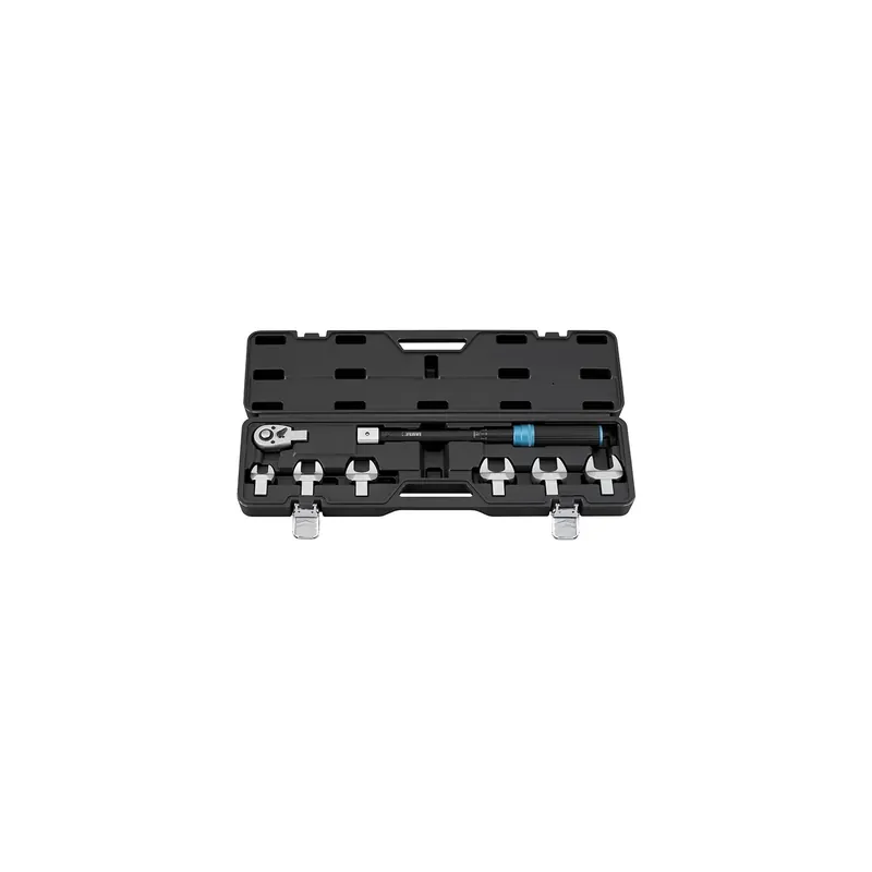 FERVI Set Chiave Dinamometrica 20-120 Nm Teste Forchetta - 0779/S120 Nieuw