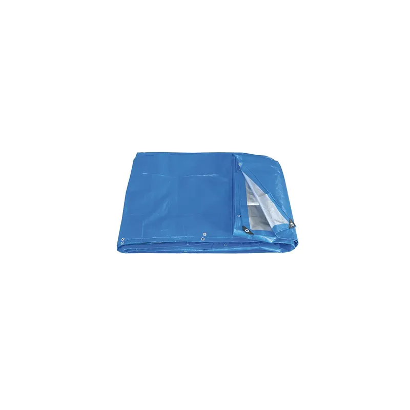 Direct Beschikbaar FERVI Telo Polietilene Pesante Anellato 6x10 m Grigio-Blu - 0284