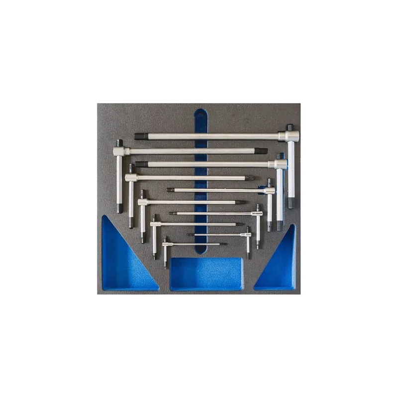 Voordeelprijs FERVI Serie 11 Chiavi Esagonali a T 2-14mm - TM01/008