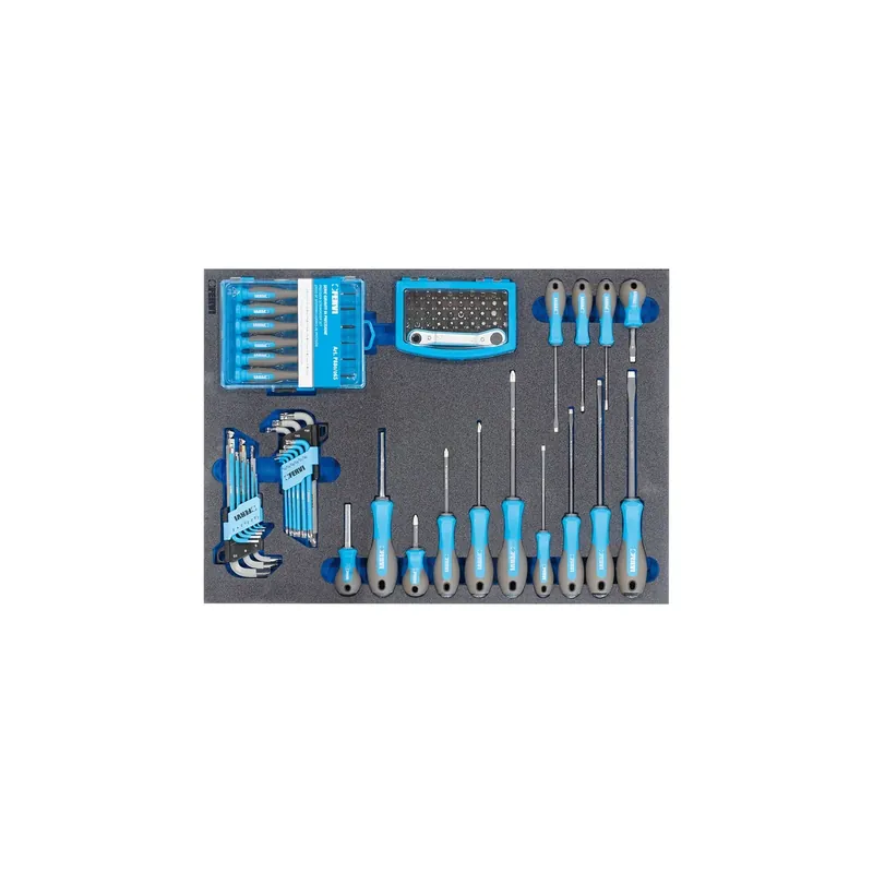 Merkproduct FERVI Serie Giraviti e Inserti Automotive - TM01/063