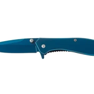 Direct Beschikbaar Coltello tascabile in metallo lucido con lama in acciaio inox 17,5cm Ausonia 26595