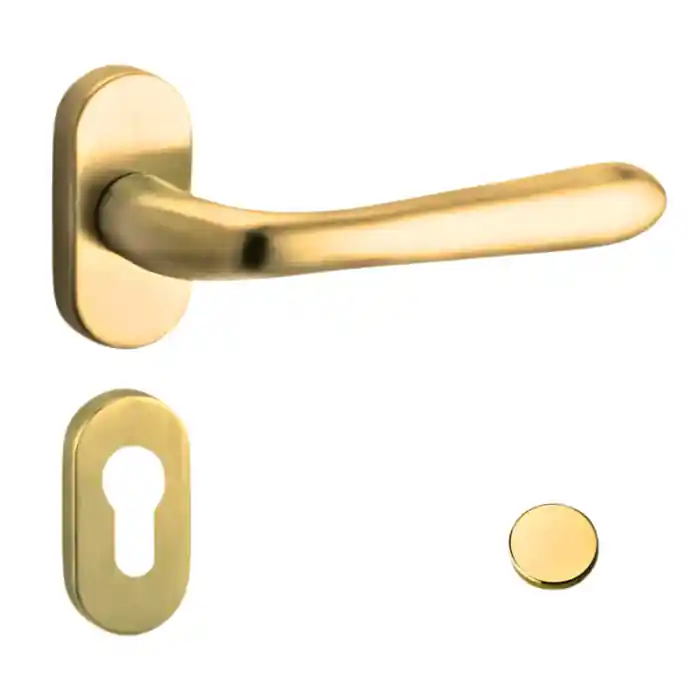Aanbieding Coppia Maniglie Reguitti BETTY F83 con rosetta e bocchetta ovale foro patent - - ottone lucido