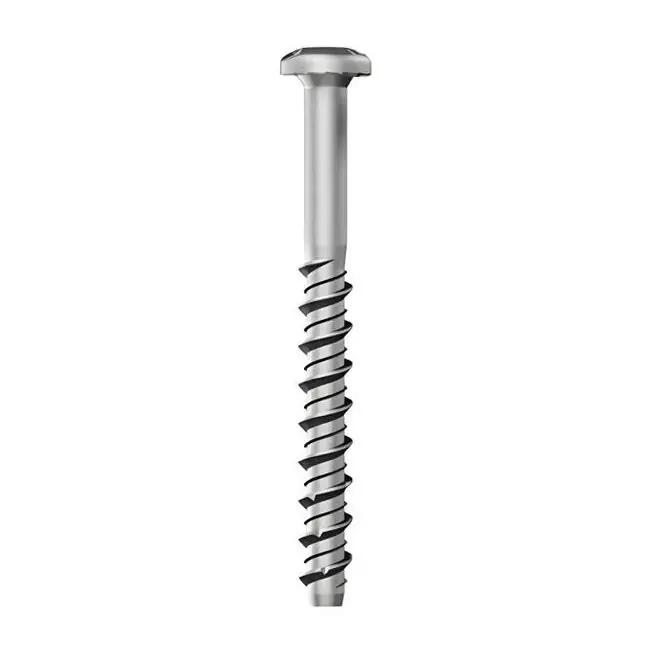 Gratis Retour Vite TECFI HXE05 in acciaio zincato testa cilindrica TORX per fissaggio su calcestruzzo - ø mm 8x40