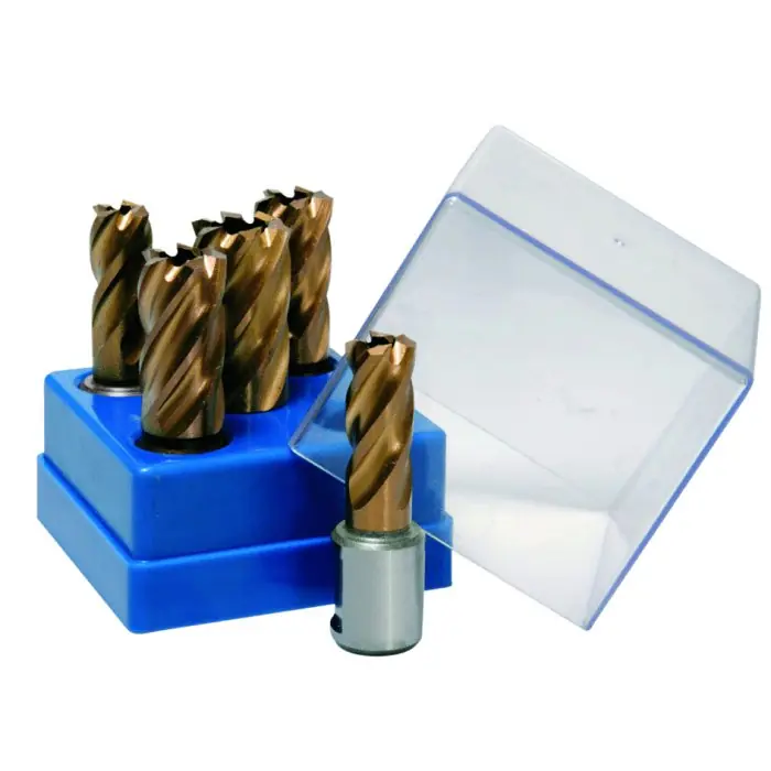 Flitsaanbieding Serie di 5 frese Hss a corona BDS Maschinen KBK serie corta standard r r
Contenuto del box r r r 2 x KBK 014 r 2 x KBK 018 r 1 x KBK 022 r r
", "sku" "09608955", "brand" { "@type" "Thing", "name" "BDS Maschinen" }, "offers" { "@type" "Offer", "priceCurrency" "EUR", "price" "105.50", "itemCondition" "http //schema.org/NewCondition", "availability" "http //schema.org/InStock", "url" "https //www.toolshopitalia.it/shop/frese/set-5-frese-a-corona-hss-bds-kbk-box1", "seller" { "@type" "Organization", "name" "ToolShop Italia - Ferramenta Online" } }
}