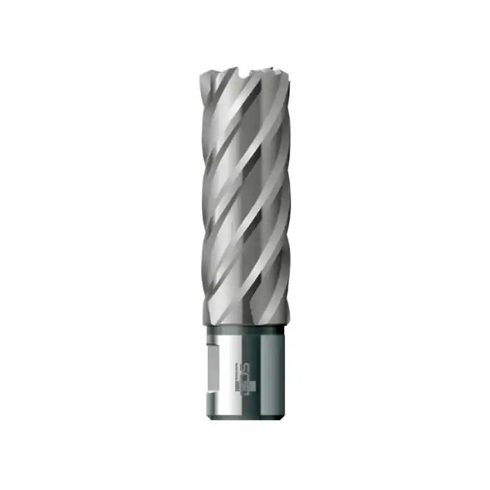 Uitverkoop Fresa a corona BDS Maschinen KBL Weldon 19 serie lunga - ø mm 16,00
