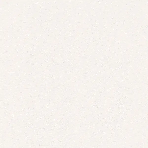 Carta da parati 309112 Meistervlies - Die glatte Wand AS-Creation Hete Deal