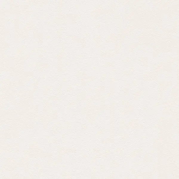 Carta da parati 309129 Meistervlies - Die glatte Wand AS-Creation Beperkte Voorraad