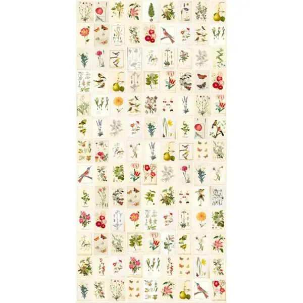 Goedkoop Carta da parati 341086 Pip 3 Eijffinger